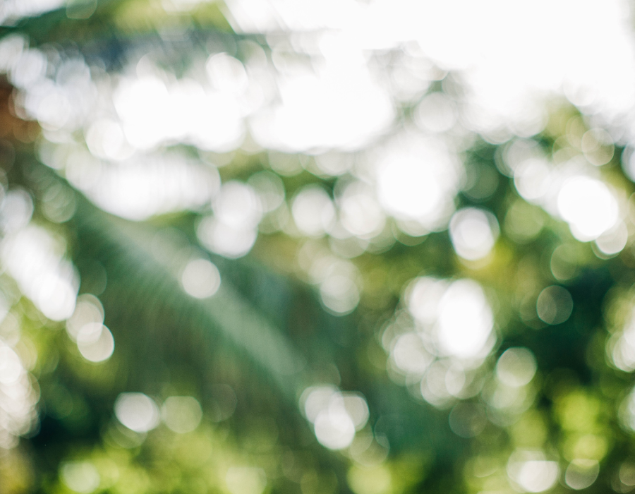 santamarina steta ley general de economía circular