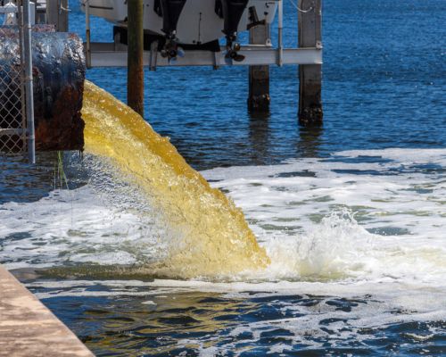 shutterstock 1517690216