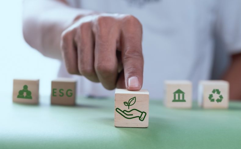 shutterstock 2317830795 1