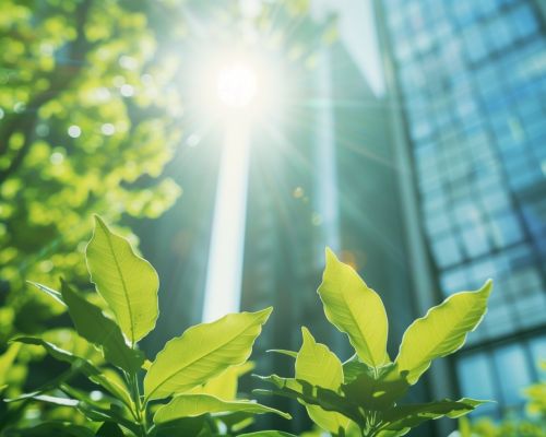 santamarina steta sostenibilidad empresarial