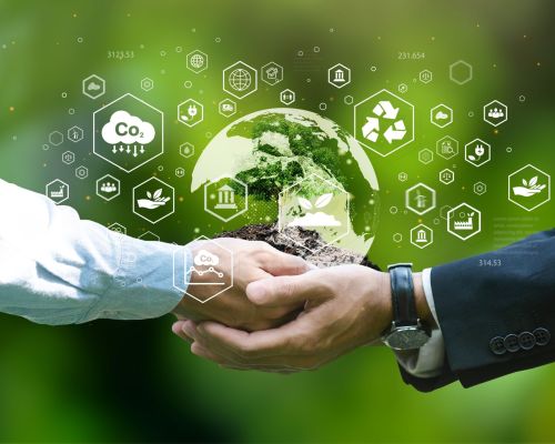 shutterstock 2272107351 1 scaled 1