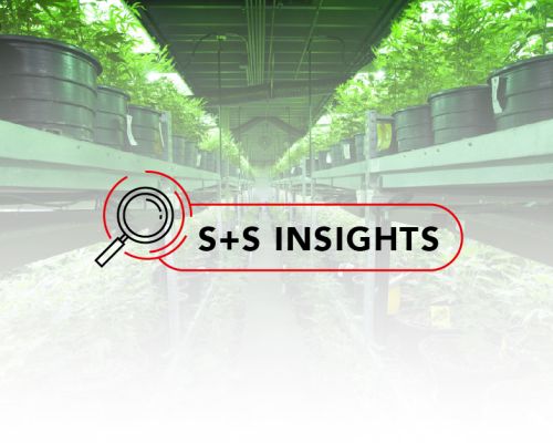 INSIGHTS CANNABISENMX SITIO