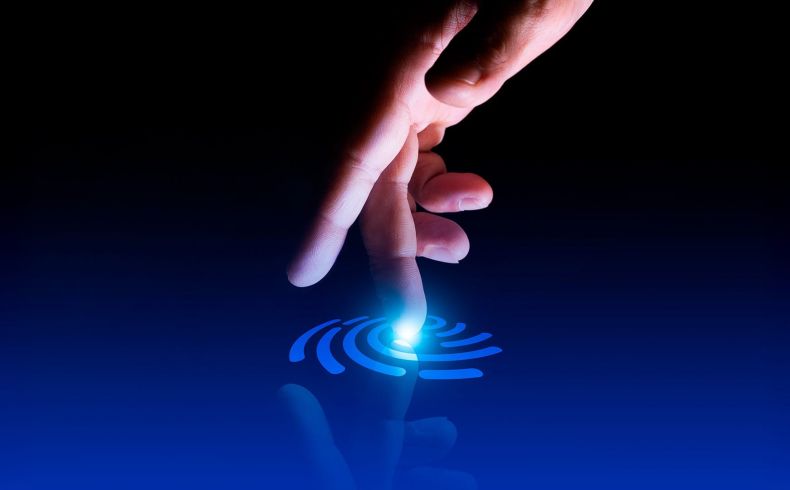 santamarina steta podcast la curp biometrica ventajas y preocupaciones sobre privacidad