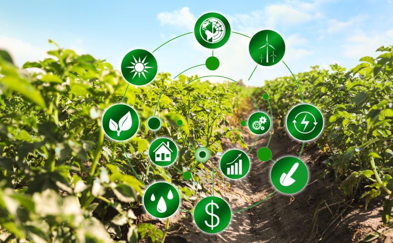 shutterstock 1742050169