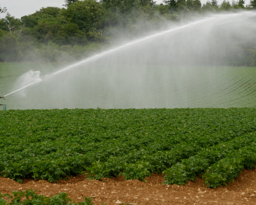 santamarina steta concesión de aguas agrícolas 2