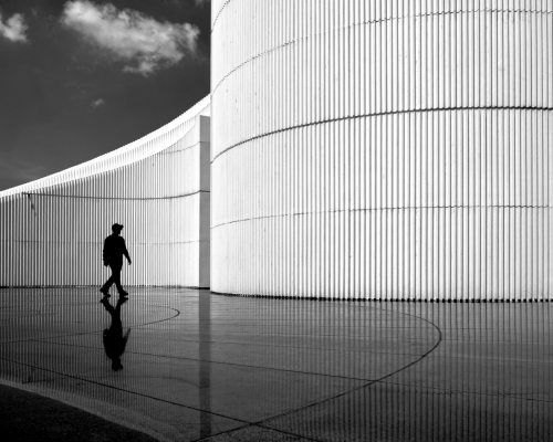 santamarina steta daños punitivos