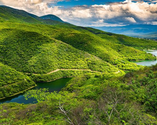 shutterstock 1799684557 scaled 1