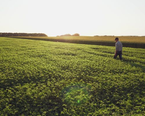 shutterstock 1429817768