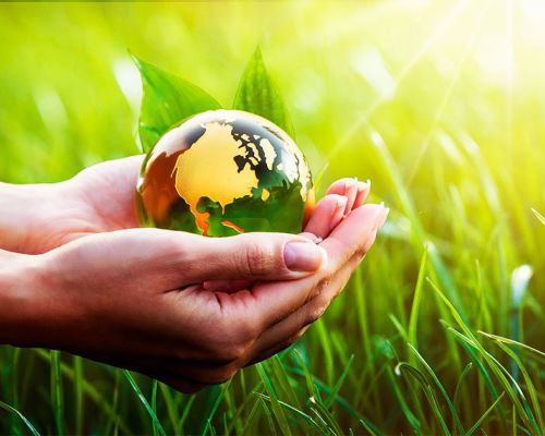 shutterstock 1092798047