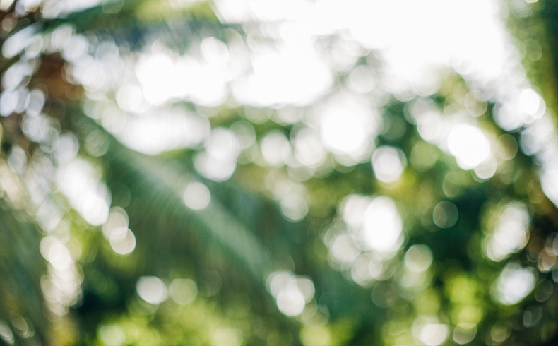 santamarina steta ley general de economía circular