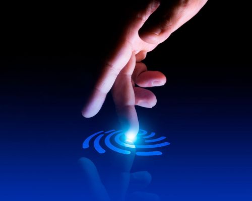 santamarina steta podcast la curp biometrica ventajas y preocupaciones sobre privacidad