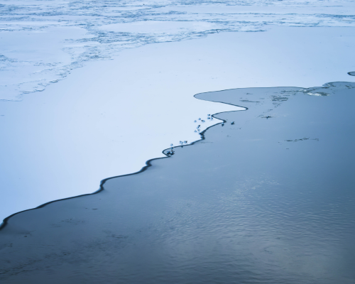 TAMAÑO PáginaWeb