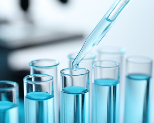 shutterstock 2478200091