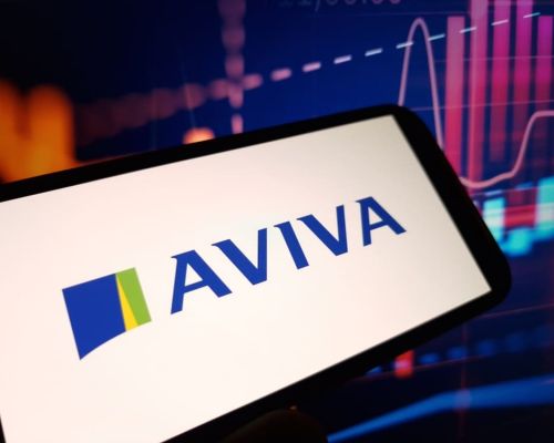 shutterstock 2422226279 1